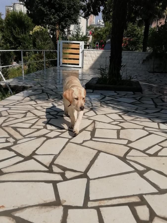 Apartmani Palmas Rijeka Bagian luar foto